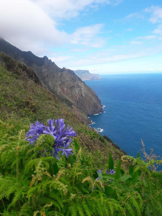 Funchal Bay View Holiday Rental 外观 照片